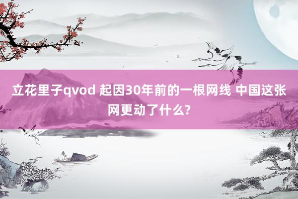 立花里子qvod 起因30年前的一根网线 中国这张网更动了什么?