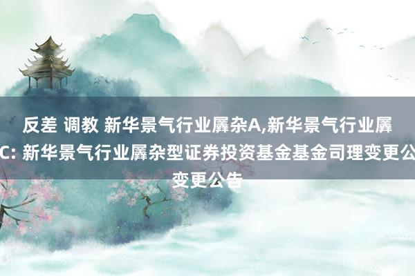 反差 调教 新华景气行业羼杂A,新华景气行业羼杂C: 新华景气行业羼杂型证券投资基金基金司理变更公告