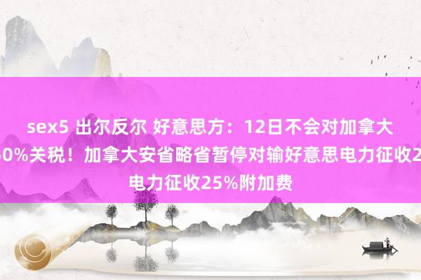 sex5 出尔反尔 好意思方：12日不会对加拿大钢铝征收50%关税！加拿大安省略省暂停对输好意思电力征收25%附加费