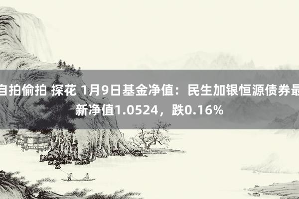 自拍偷拍 探花 1月9日基金净值：民生加银恒源债券最新净值1.0524，跌0.16%