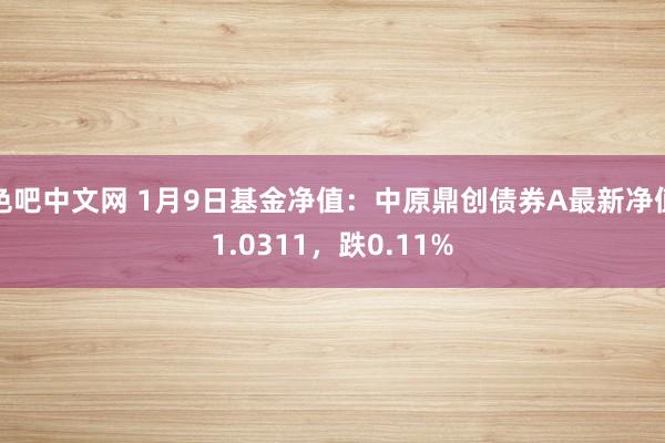色吧中文网 1月9日基金净值：中原鼎创债券A最新净值1.0311，跌0.11%