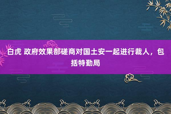 白虎 政府效果部磋商对国土安一起进行裁人，包括特勤局