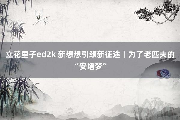 立花里子ed2k 新想想引颈新征途丨为了老匹夫的“安堵梦”