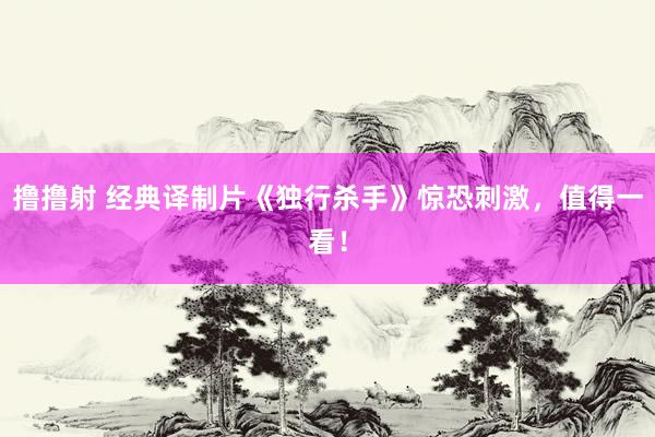 撸撸射 经典译制片《独行杀手》惊恐刺激，值得一看！