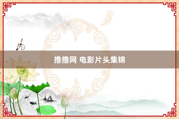 撸撸网 电影片头集锦
