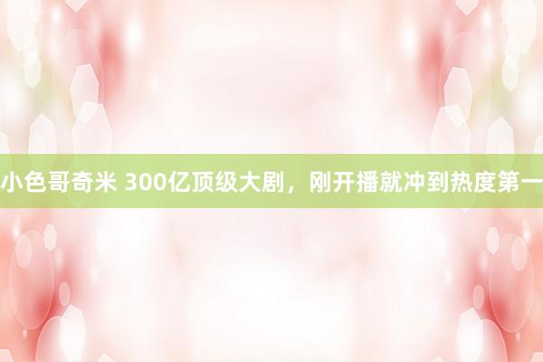 小色哥奇米 300亿顶级大剧，刚开播就冲到热度第一