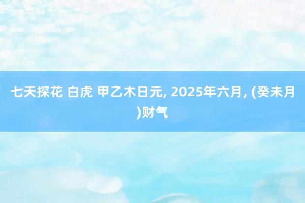 七天探花 白虎 甲乙木日元， 2025年六月， (癸未月)财气