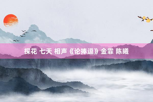 探花 七天 相声《论捧逗》金霏 陈曦